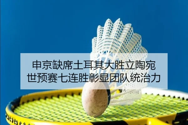 申京缺席土耳其大胜立陶宛 世预赛七连胜彰显团队统治力